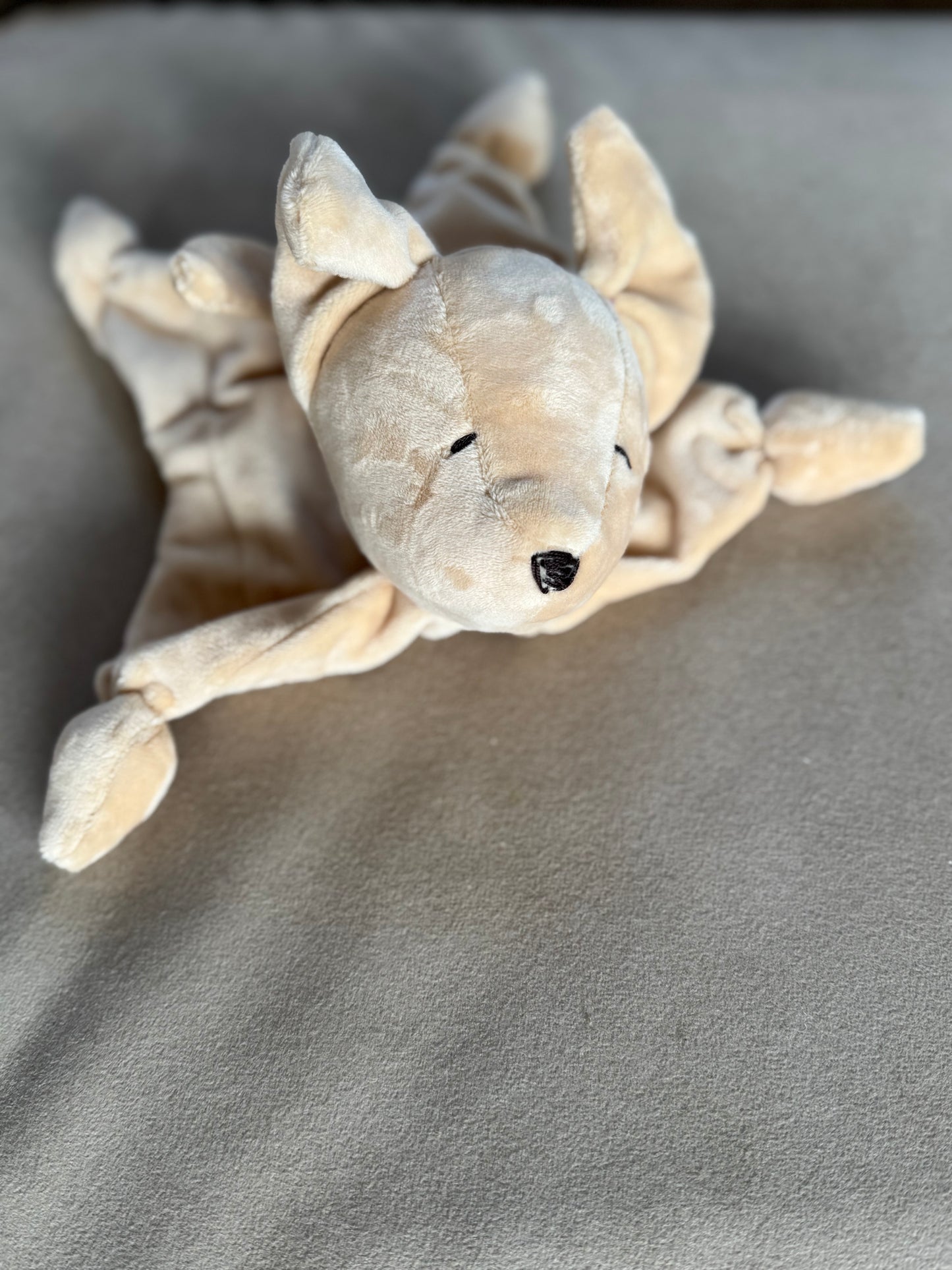 Dudù Cagnolino