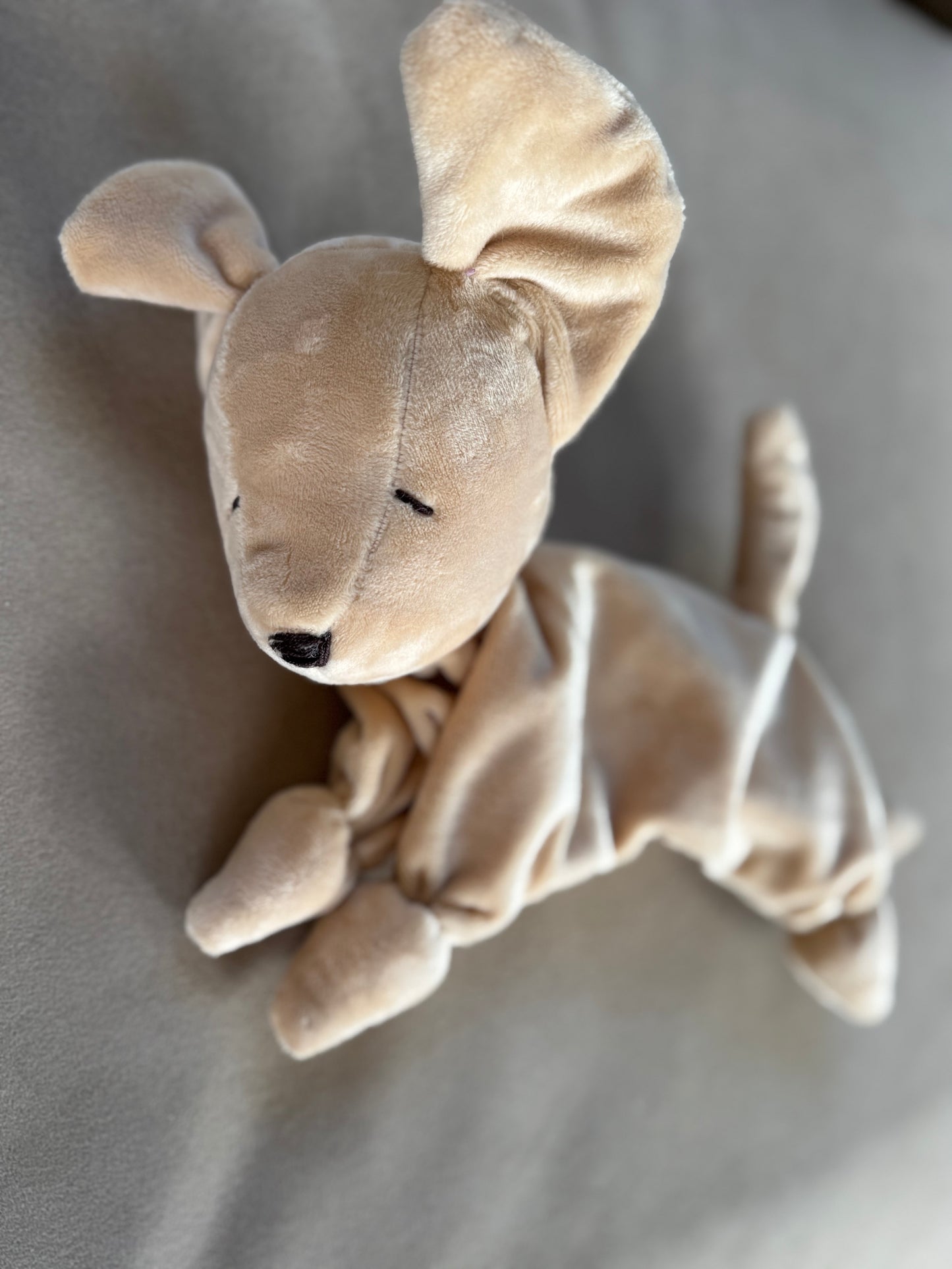 Dudù Cagnolino
